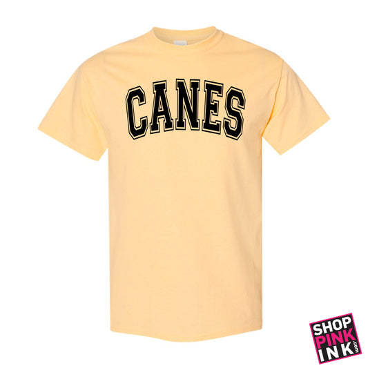 International Studies - CANES - Short Sleeve - 27130